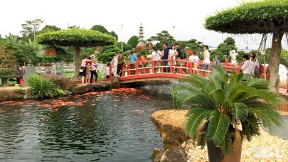 Có cần phải thường xuyên vệ sinh hệ thống lọc hồ cá koi không?